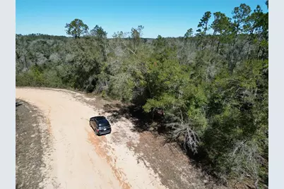 Blueberry Court, Alford, FL 32420 - Photo 3