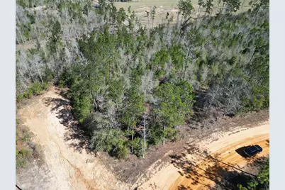 Clinton Court, Alford, FL 32420 - Photo 3