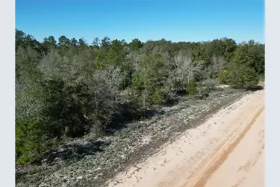 Cardinal Avenue, Marianna, FL 32448 - Photo 3