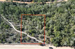 Cardinal Ave, Marianna, FL 32448 - Photo 1