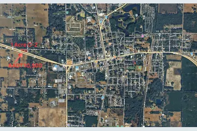 18450 NE 40th Street, Williston, FL 32696 - Photo 3