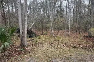 7078 NW 52nd Terrace, Gainesville, FL 32653 - Photo 23