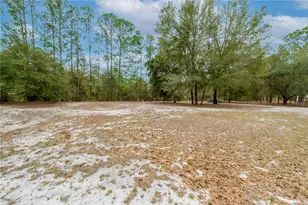 5535 Gila St, Keystone Heights, FL 32656 - Photo 43