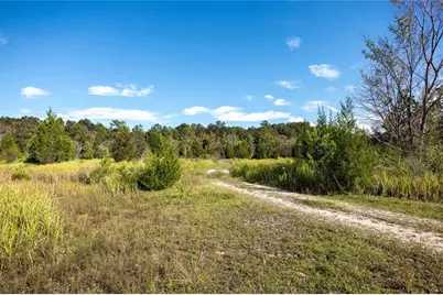 0 173rd Place, Inglis, FL 34449 - Photo 5