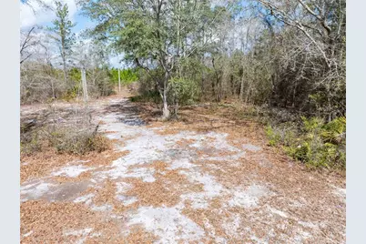 Lot 9 SW 39th Drive, Lake Butler, FL 32054 - Photo 7