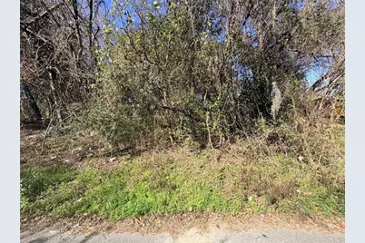 Tbd NW 151st Avenue, Alachua, FL 32615 - Photo 3