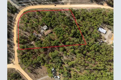 110 Hill Top Loop, Hawthorne, FL 32640 - Photo 3