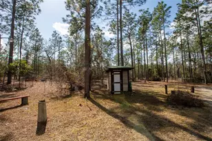 110 Hill Top Loop, Hawthorne, FL 32640 - Photo 43
