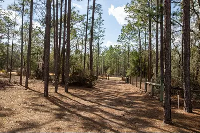 110 Hill Top Loop, Hawthorne, FL 32640 - Photo 45