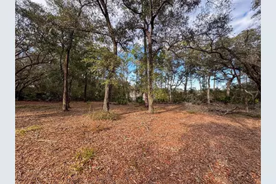 114 Mandarin Lake Road, Melrose, FL 32666 - Photo 19