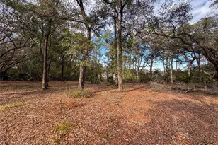 114 Mandarin Lake Rd, Melrose, FL 32666 - Photo 19