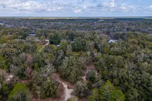 103 NE Suwannee River Dr, Mayo, FL 32066 - Photo 39