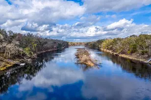 103 NE Suwannee River Dr, Mayo, FL 32066 - Photo 41