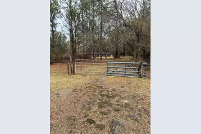 1521 SE 163rd Street, Hawthorne, FL 32640 - Photo 3