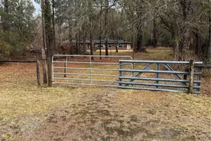 1521 SE 163rd St, Hawthorne, FL 32640 - Photo 3