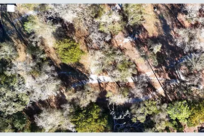 3015 Owls Nest Lane, Plant City, FL 33565 - Photo 11