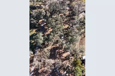 3015 Owls Nest Lane, Plant City, FL 33565 - Photo 13