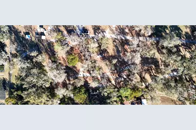 3015 Owls Nest Lane, Plant City, FL 33565 - Photo 15