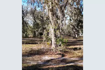 3015 Owls Nest Lane, Plant City, FL 33565 - Photo 9