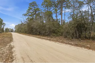 Sharon Street, Interlachen, FL 32148 - Photo 3