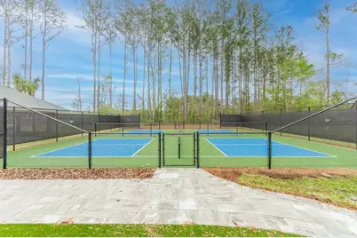 598 SW 144th Drive, Newberry, FL 32669 - Photo 3