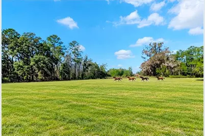 573 SE Nature Drive, Lake City, FL 32025 - Photo 47