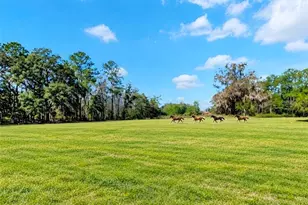 573 SE Nature Dr, Lake City, FL 32025 - Photo 47