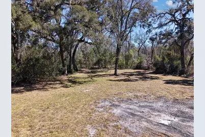 4912 NE Highway 349, Old Town, FL 32680 - Photo 7