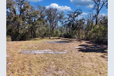 4912 NE Highway 349, Old Town, FL 32680 - Photo 5