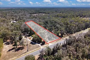 4912 NE Hwy 349, Old Town, FL 32680 - Photo 1