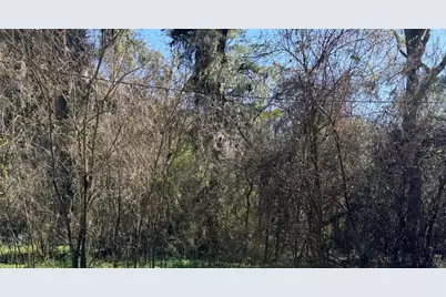 Tbd Platted Road Way, Alachua, FL 32615 - Photo 1