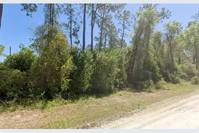 3139 SW Mauldin Avenue, Lake City, FL 32024 - Photo 1