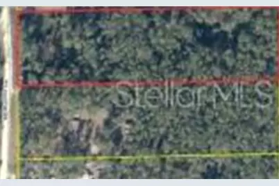 3139 SW Mauldin Avenue, Lake City, FL 32024 - Photo 3