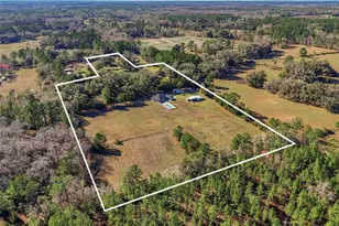 15629 NW Co Rd 231, Gainesville, FL 32609 - Photo 39