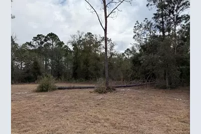 13510 N Gulf Manor, Perry, FL 32348 - Photo 23