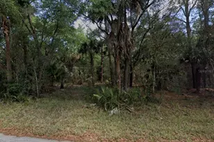 8627 W Rue Des Prairies Pl, Crystal River, FL 34428 - Photo 1