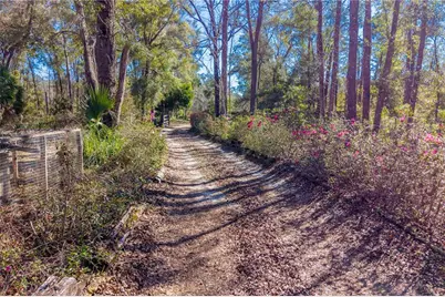 383 NE 355th Avenue, Old Town, FL 32680 - Photo 21
