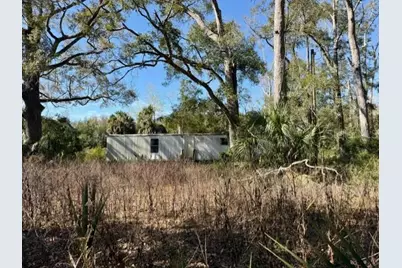 1219 N Paris Street, Bell, FL 32619 - Photo 5