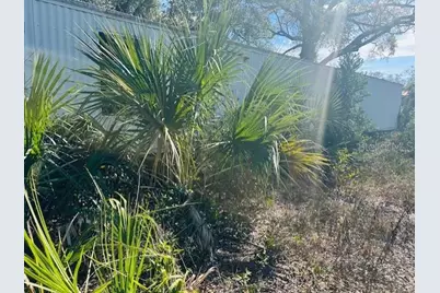 1219 N Paris Street, Bell, FL 32619 - Photo 11