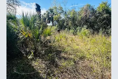 1219 N Paris Street, Bell, FL 32619 - Photo 7