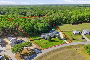 9733 SW 104th Ln, Gainesville, FL 32608 - Photo 67