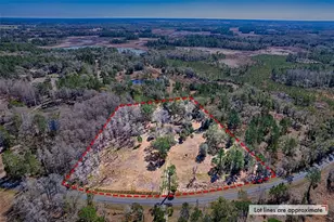 5851 NE 77th Ave, Bronson, FL 32621 - Photo 31