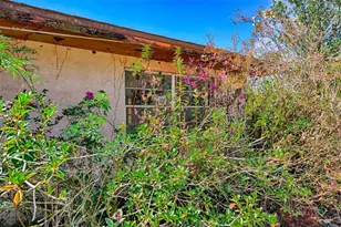 5851 NE 77th Ave, Bronson, FL 32621 - Photo 27