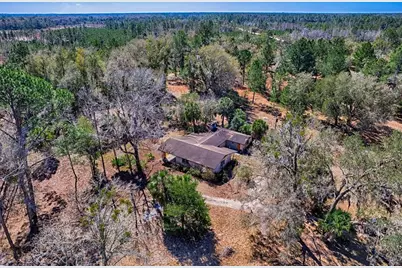 5851 NE 77th Avenue, Bronson, FL 32621 - Photo 3