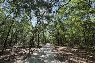 6970 NE 74th St, Gainesville, FL 32609 - Photo 31