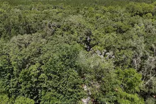 6970 NE 74th St, Gainesville, FL 32609 - Photo 39