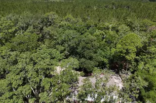 6970 NE 74th St, Gainesville, FL 32609 - Photo 41