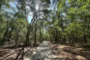 6970 NE 74th St, Gainesville, FL 32609 - Photo 35