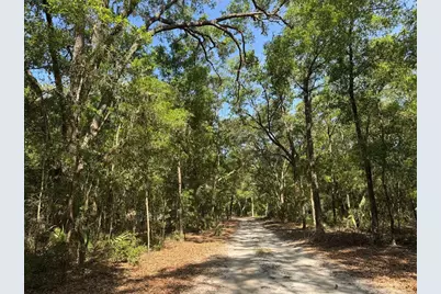 6970 NE 74th Street, Gainesville, FL 32609 - Photo 3