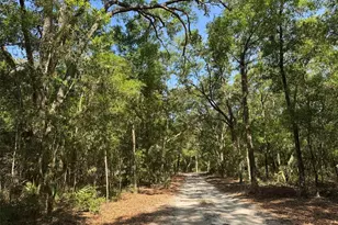 6970 NE 74th St, Gainesville, FL 32609 - Photo 3
